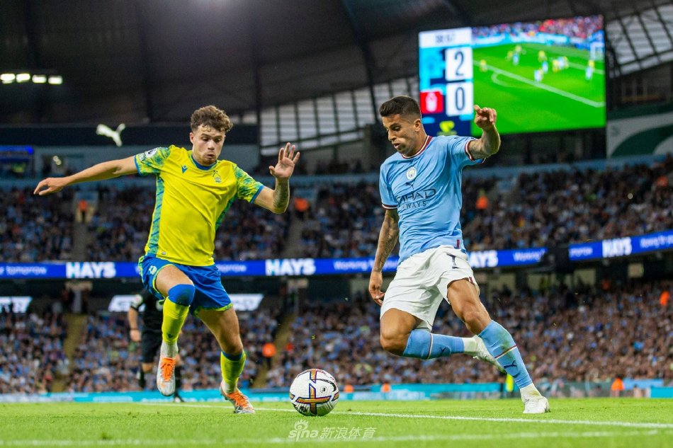 脑提供决策 脑提供决策