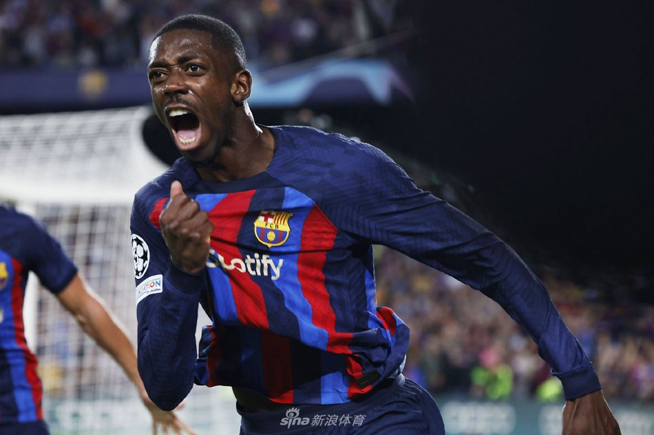 有丰富的比 有丰富的比